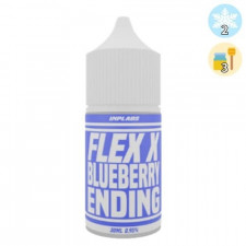 [입호흡액상] 플렉스 블루베리엔딩 30ml